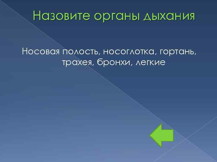 Назовите органы дыхания Носовая полость, носоглотка, гортань, трахея, бронхи, легкие 