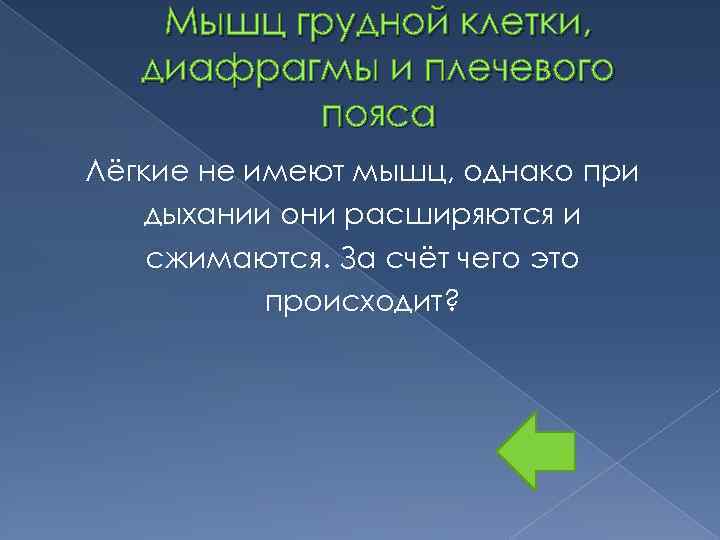 Мышц грудной клетки, диафрагмы и плечевого пояса Лёгкие не имеют мышц, однако при дыхании