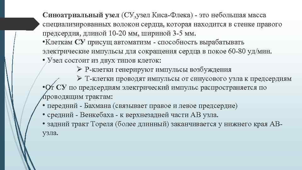 Синоатриальный узел (СУ, узел Киса-Флека) - это небольшая масса специализированных волокон сердца, которая находится