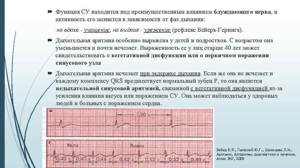  Функция СУ находится под преимущественным влиянием блуждающего нерва, и активность его меняется в
