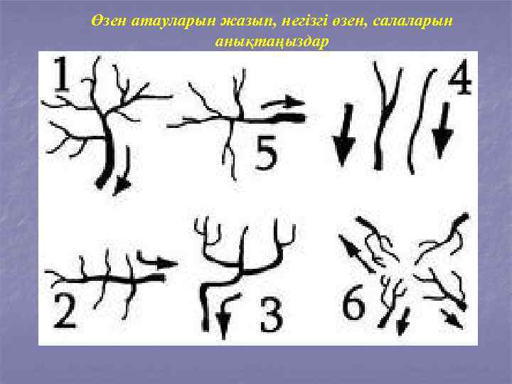 Өзен атауларын жазып, негізгі өзен, салаларын анықтаңыздар 