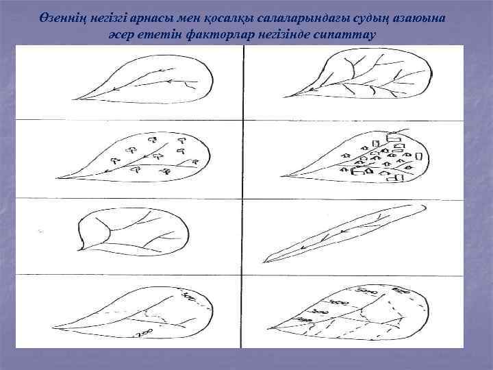 Өзеннің негізгі арнасы мен қосалқы салаларындағы судың азаюына әсер ететін факторлар негізінде сипаттау 