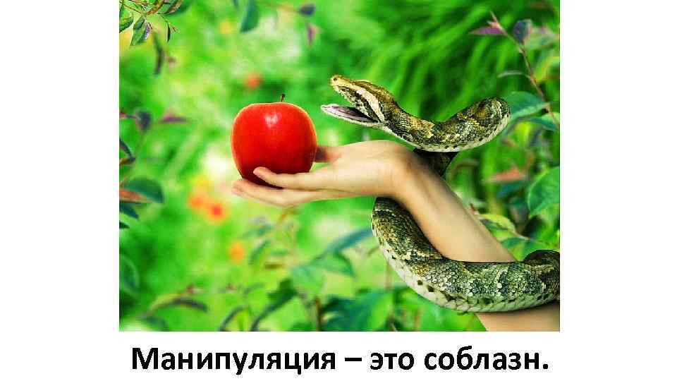 Манипуляция – это соблазн. 