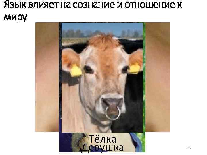 Язык влияет на сознание и отношение к миру ? ? ? Тёлка Девушка 16