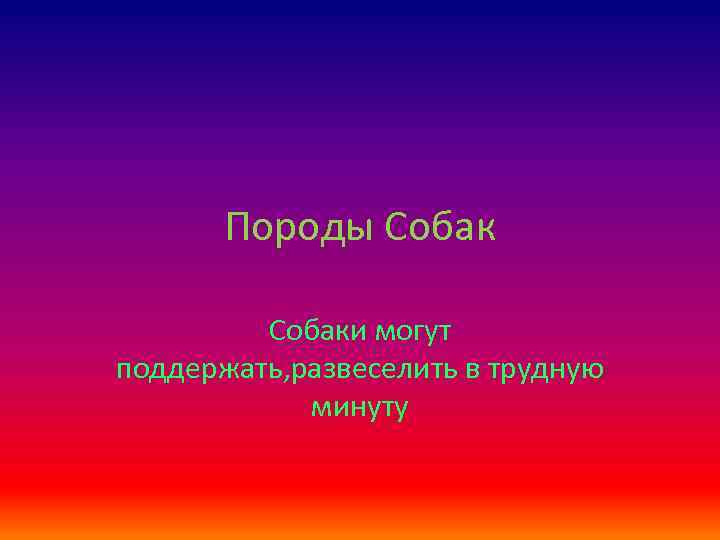 Породы Собаки могут поддержать, развеселить в трудную минуту 