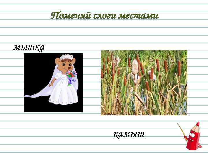 Поменяй слоги местами мышка камыш 