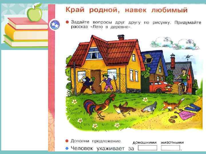 домашними животными 