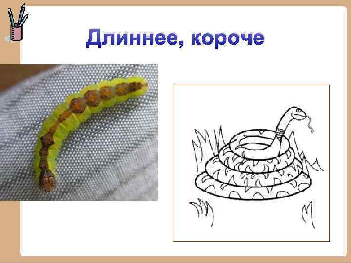 Длиннее, короче 