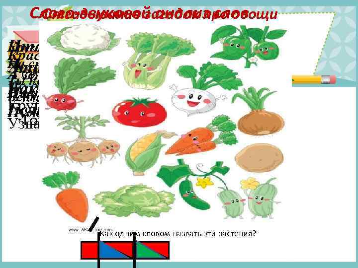 Слого-звуковой анализ слов Отгадывание загадок про овощи Кругла, рассыпчата, бела, хруст? Что за скрип,