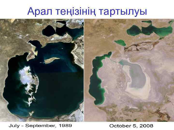 Арал теңізінің тартылуы 