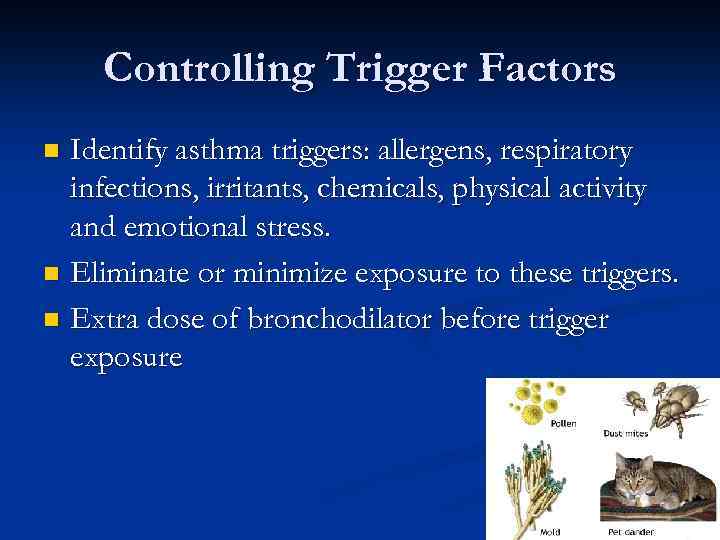 Controlling Trigger Factors Identify asthma triggers: allergens, respiratory infections, irritants, chemicals, physical activity and