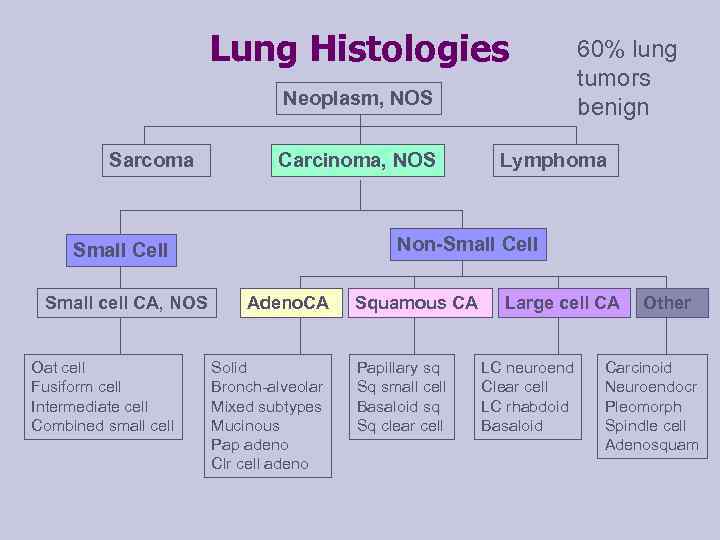 Lung Histologies Neoplasm, NOS Sarcoma Carcinoma, NOS Oat cell Fusiform cell Intermediate cell Combined