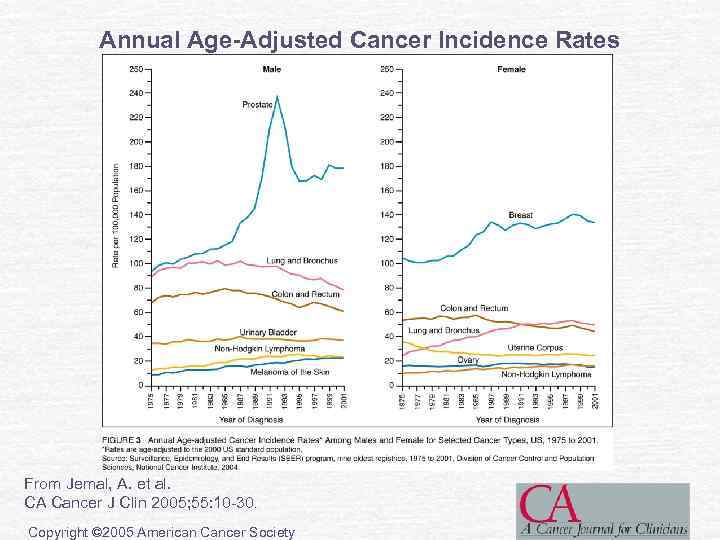 Annual Age-Adjusted Cancer Incidence Rates From Jemal, A. et al. CA Cancer J Clin