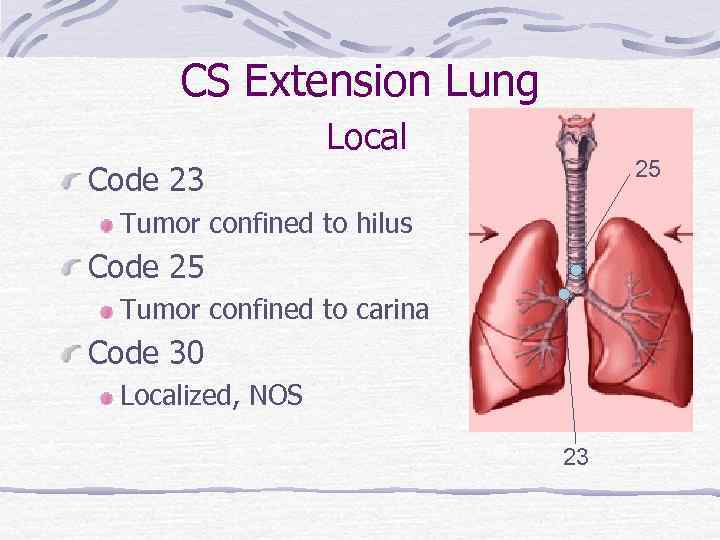 CS Extension Lung Local 25 Code 23 Tumor confined to hilus Code 25 Tumor