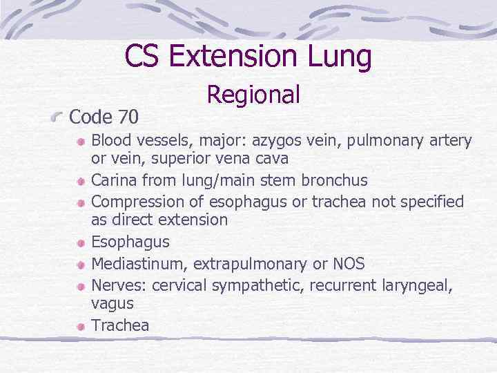 CS Extension Lung Regional Code 70 Blood vessels, major: azygos vein, pulmonary artery or