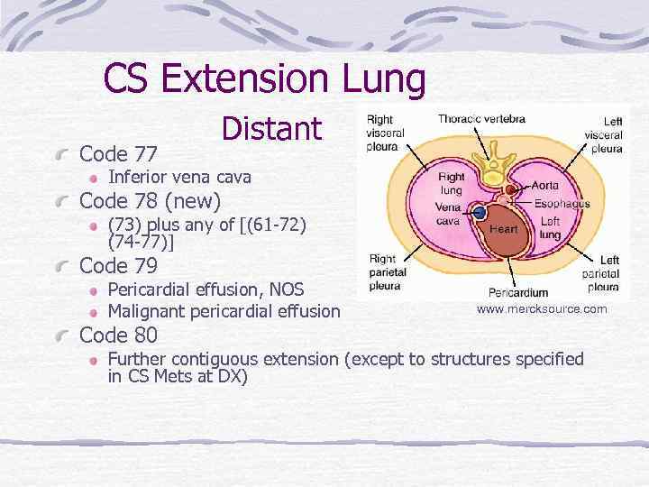 CS Extension Lung Distant Code 77 Inferior vena cava Code 78 (new) (73) plus