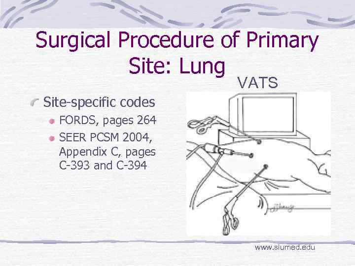 Surgical Procedure of Primary Site: Lung VATS Site-specific codes FORDS, pages 264 SEER PCSM