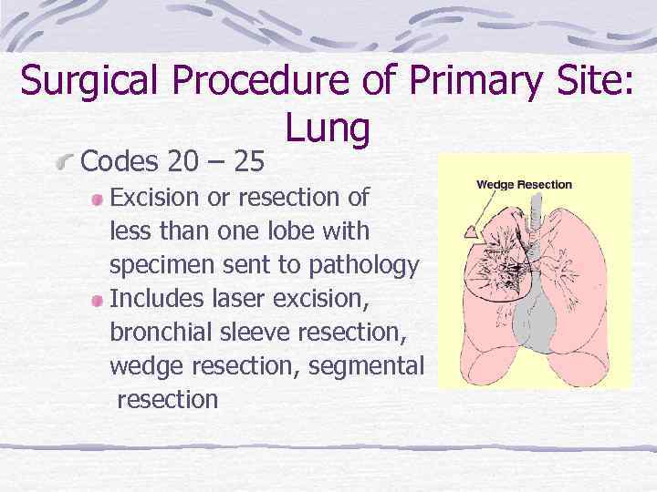 Surgical Procedure of Primary Site: Lung Codes 20 – 25 Excision or resection of