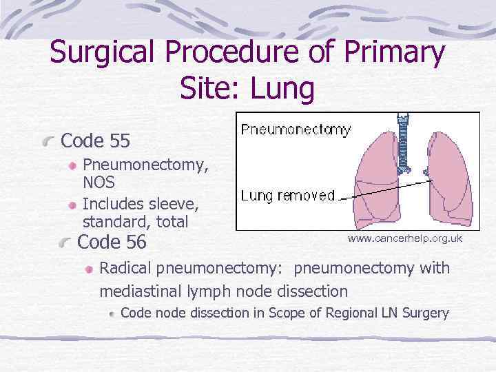 Surgical Procedure of Primary Site: Lung Code 55 Pneumonectomy, NOS Includes sleeve, standard, total