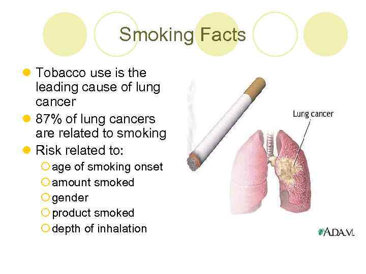 Smoking Facts l Tobacco use is the leading cause of lung cancer l 87%