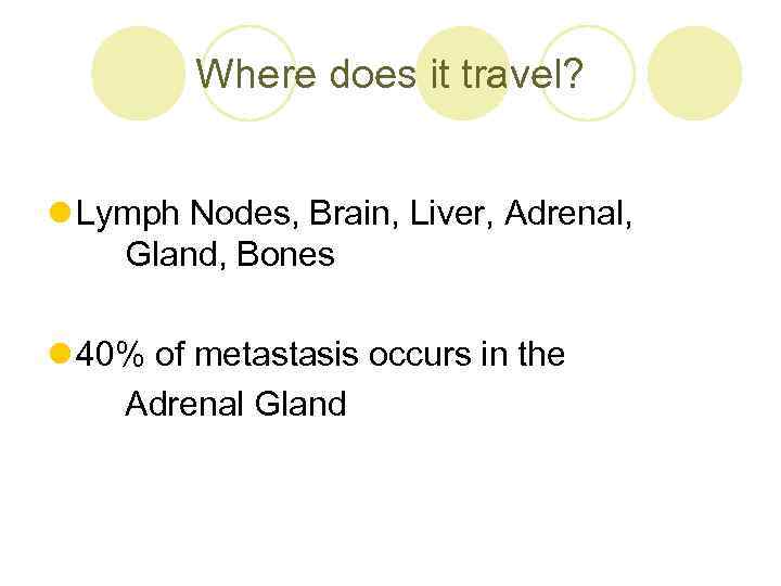 Where does it travel? l Lymph Nodes, Brain, Liver, Adrenal, Gland, Bones l 40%