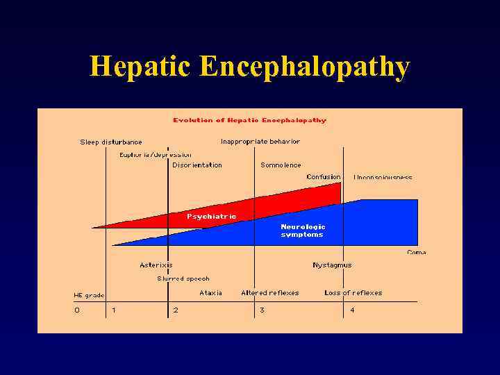 Hepatic Encephalopathy 