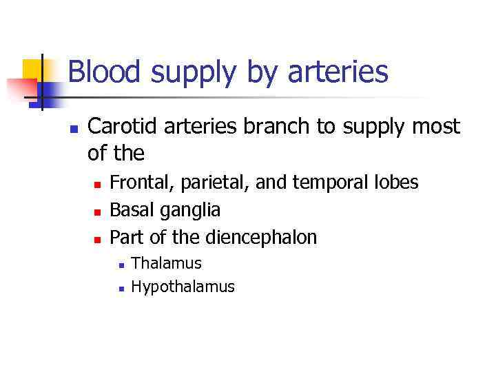 Blood supply by arteries n Carotid arteries branch to supply most of the n