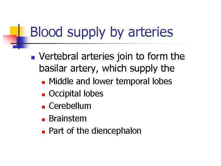 Blood supply by arteries n Vertebral arteries join to form the basilar artery, which