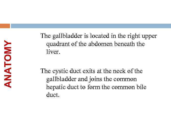 ANATOMY The gallbladder is located in the right upper quadrant of the abdomen beneath