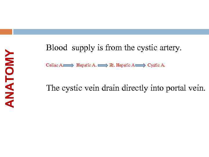 ANATOMY Blood supply is from the cystic artery. Celiac A. Hepatic A. Rt. Hepatic