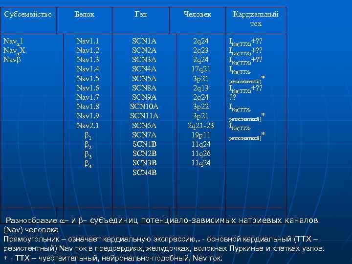 Субсемейство Белок Nava 1 Nava. X Navb Nav 1. 1 Nav 1. 2 Nav