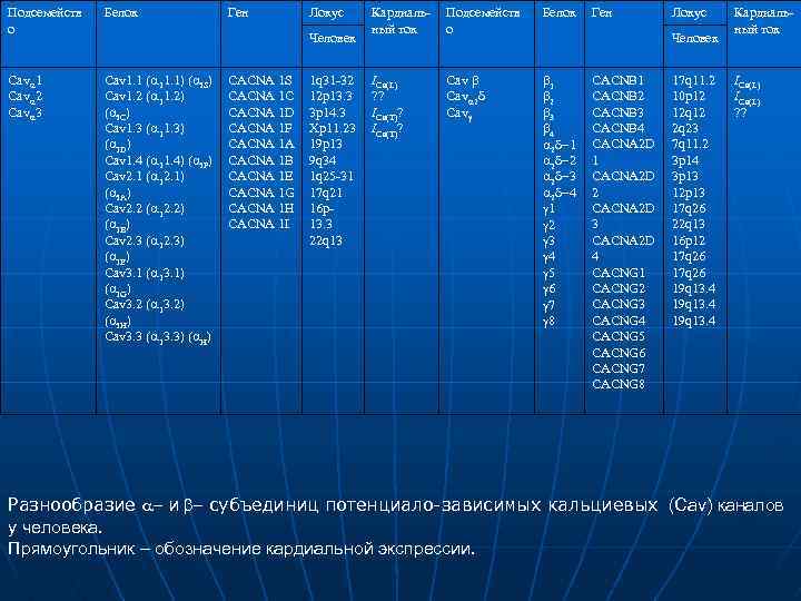 Подсемейств о Белок Cava 1 Cava 2 Cava 3 Cav 1. 1 (a 11.