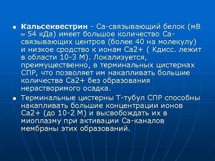 n n Кальсеквестрин - Са-связывающий белок (м. В 54 к. Да) имеет большое количество