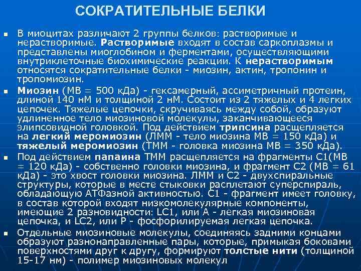 СОКРАТИТЕЛЬНЫЕ БЕЛКИ n n В миоцитах различают 2 группы белков растворимые и нерастворимые. Растворимые