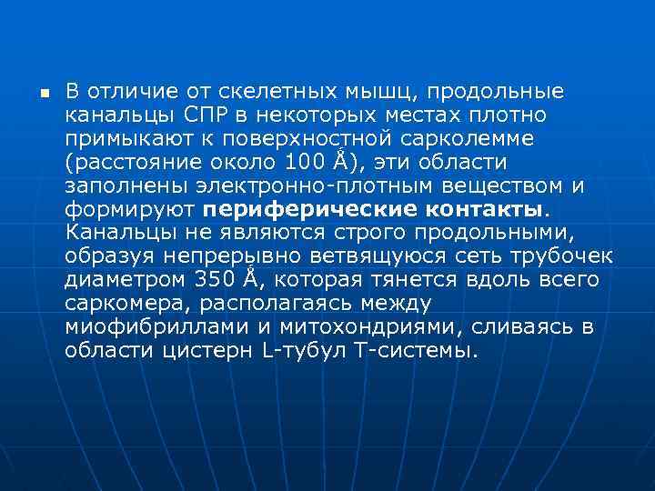 n В отличие от скелетных мышц, продольные канальцы СПР в некоторых местах плотно примыкают