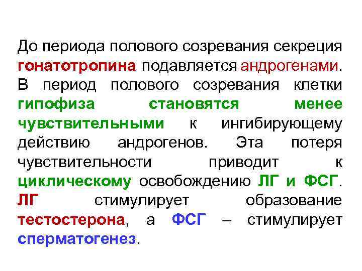 До периода полового созревания секреция гонатотропина подавляется андрогенами. В период полового созревания клетки гипофиза