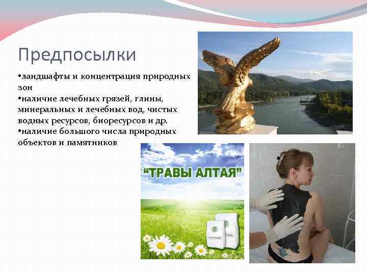 Предпосылки • ландшафты и концентрация природных зон • наличие лечебных грязей, глины, минеральных и
