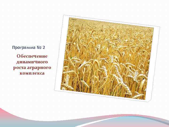 Программа № 2 Обеспечение динамичного роста аграрного комплекса 