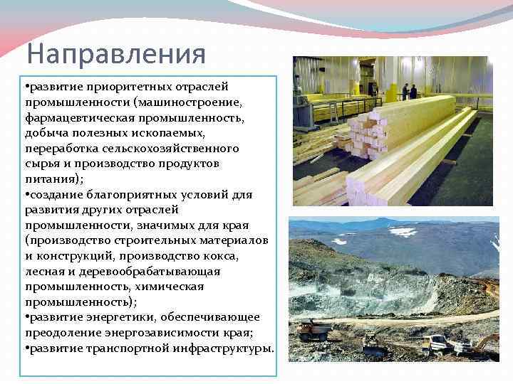 Направления • развитие приоритетных отраслей промышленности (машиностроение, фармацевтическая промышленность, добыча полезных ископаемых, переработка сельскохозяйственного