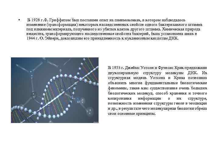  • В 1928 г. Ф. Гриффитом был поставлен опыт на пневмококках, в котором