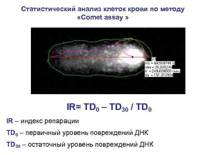 Статистический анализ клеток крови по методу «Comet assay » IR= TD 0 – TD
