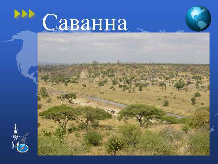 Саванна 