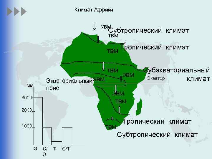 Климат Африки УВМ Субтропический климат ТВМ ТВМ Экваториальный ЭВМ пояс мм 3000 Тропический климат