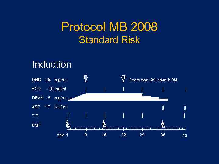 Protocol MB 2008 Standard Risk Induction DNR 45 mg/mІ VCR 1, 5 mg/mІ DEXA