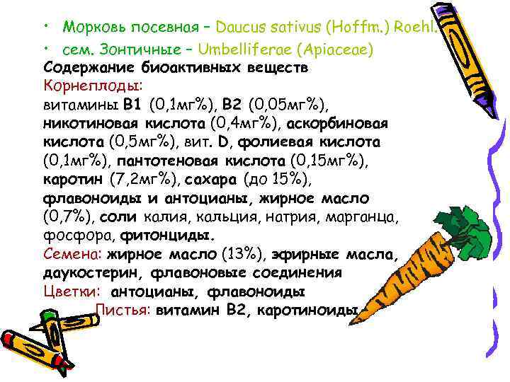  • Морковь посевная – Daucus sativus (Hoffm. ) Roehl. • сем. Зонтичные –