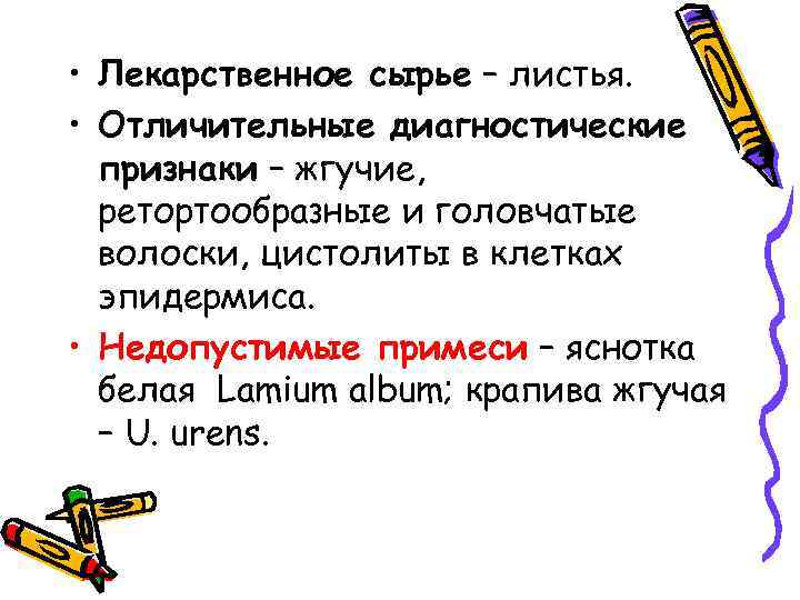  • Лекарственное сырье – листья. • Отличительные диагностические признаки – жгучие, ретортообразные и