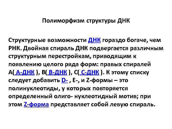 Структурные возможности ДНК гораздо богаче, чем РНК. Двойная спираль ДНК подвергается различным структурным перестройкам,