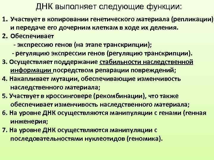 Функции днк