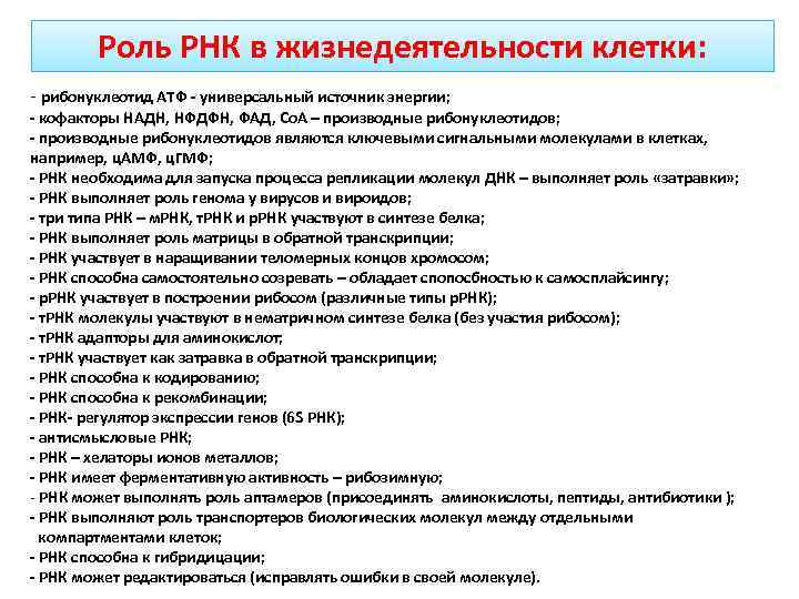 Роль РНК в жизнедеятельности клетки: - рибонуклеотид АТФ - универсальный источник энергии; - кофакторы