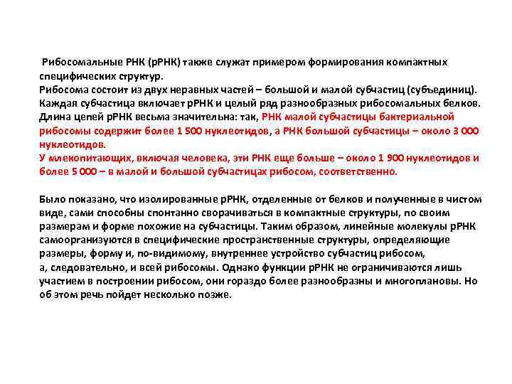 Рибосомальные РНК (р. РНК) также служат примером формирования компактных специфических структур. Рибосома состоит